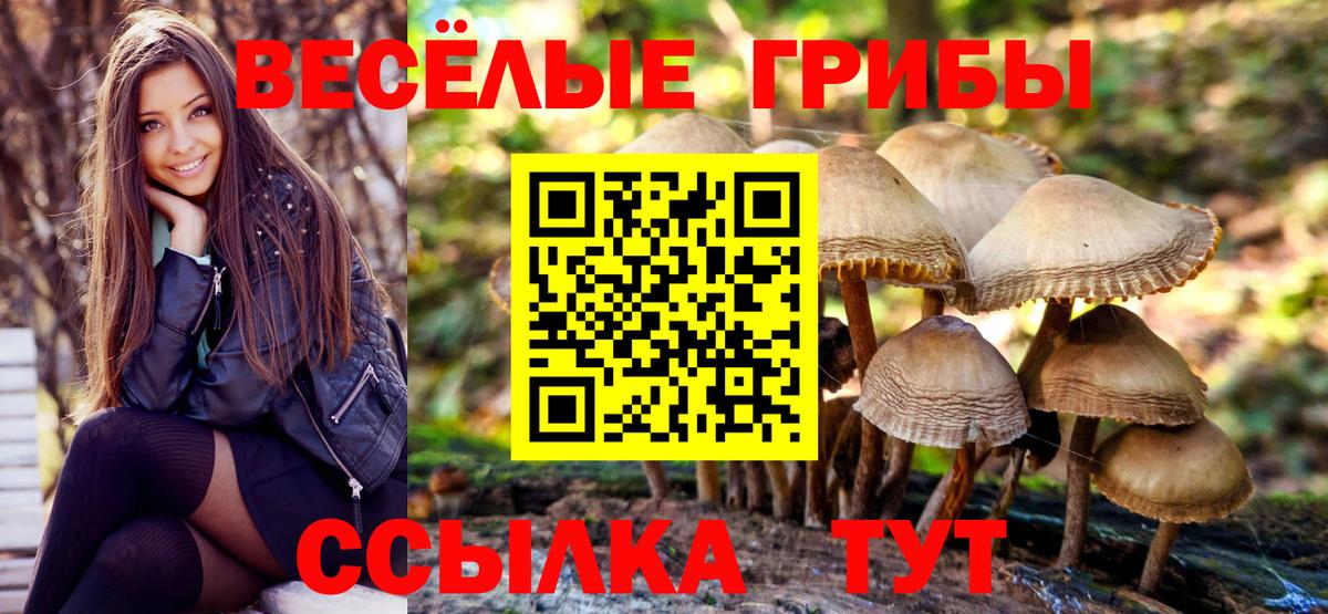 Галлюциногенные грибы мицелий Михайловск
