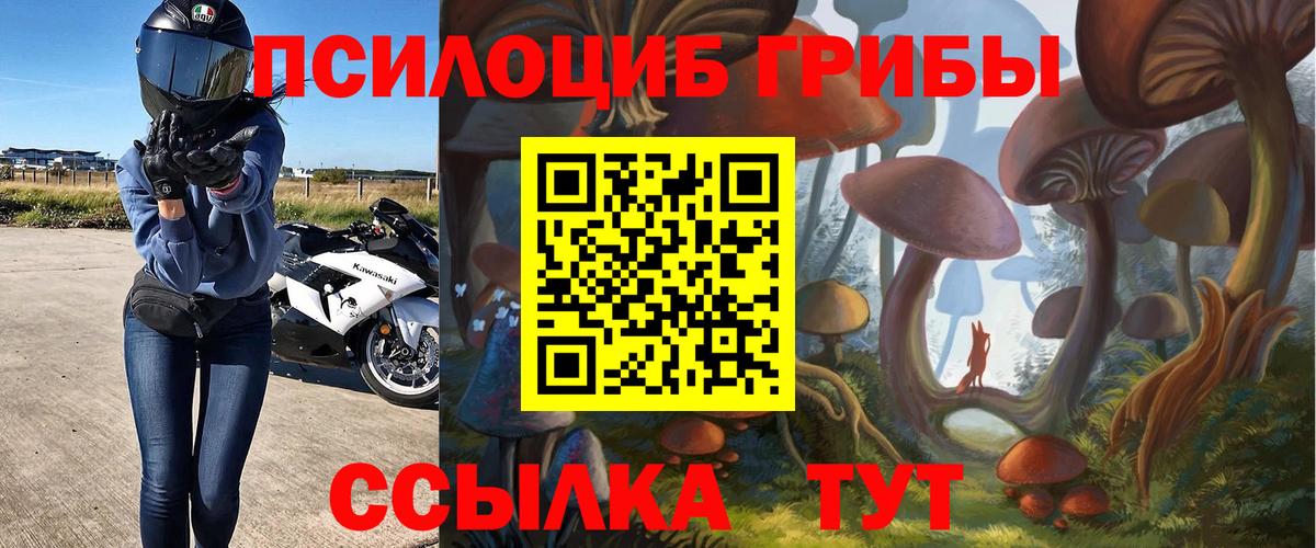 Псилоцибиновые грибы мухоморы  Галлюциногенные грибы Psilocybe  Михайловск  Вход с VPN 